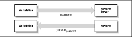 Figure 19.3